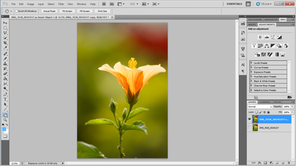 Isolating Image in Photoshop