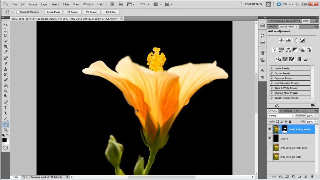 Isolating Image in Photoshop