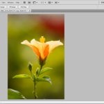 The Smarter Way to Isolate Stock Photos in Photoshop